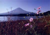 anjinenmoku05