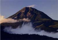 anjinenmoku06